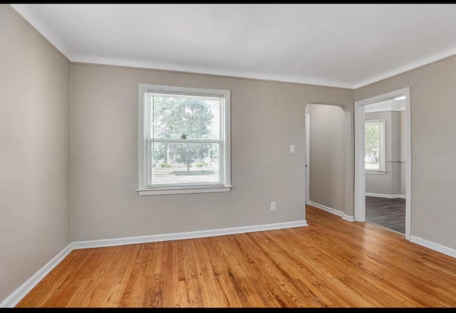 spare room with light wood-type flooring and a wealth of natural light