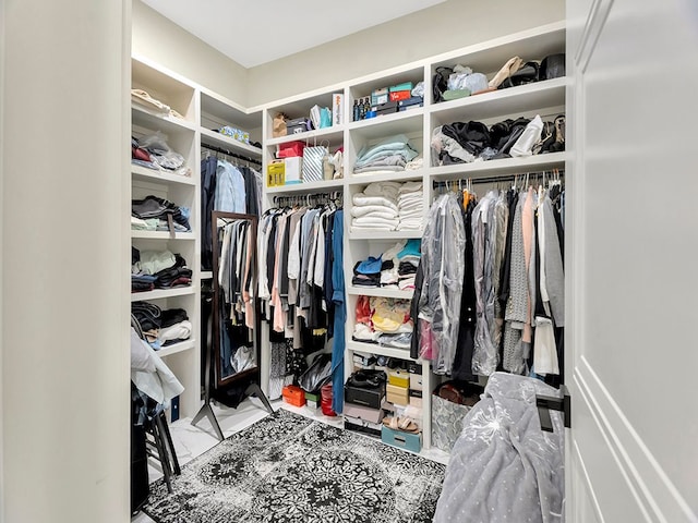 view of spacious closet