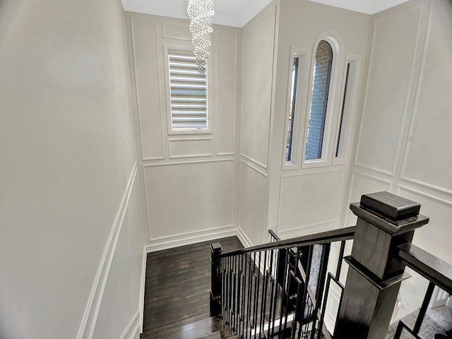 staircase featuring hardwood / wood-style floors, a chandelier, and ornamental molding