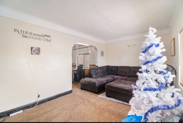 view of carpeted living room