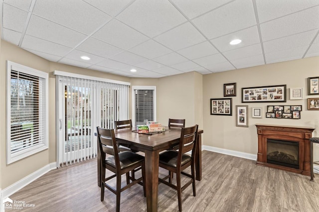 dining space featuring a paneled ceiling and hardwood / wood-style flooring