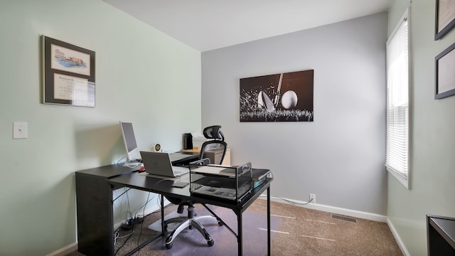 carpeted home office featuring a healthy amount of sunlight