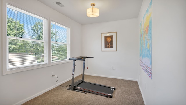 exercise area featuring carpet