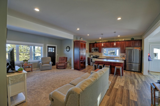 living room with hardwood / wood-style flooring and sink