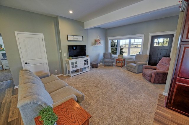 living room with hardwood / wood-style floors