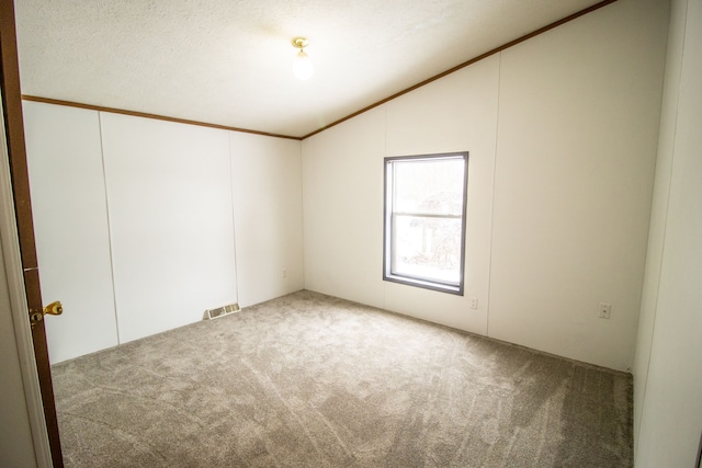 empty room featuring lofted ceiling, carpet floors, and a textured ceiling