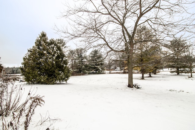 view of yard layered in snow