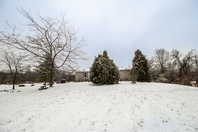 view of yard layered in snow