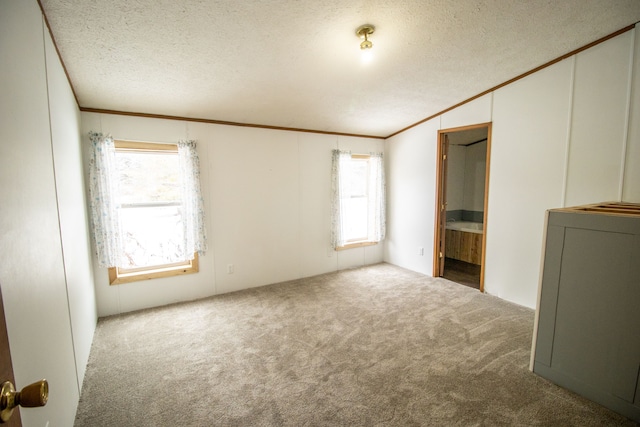 carpeted empty room with ornamental molding, washer / dryer, and a textured ceiling