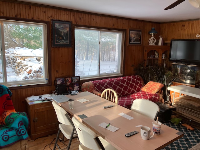 dining space with ceiling fan, plenty of natural light, and wood walls