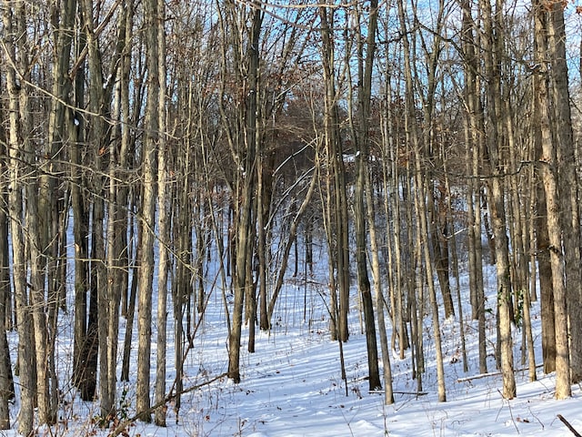 view of snowy landscape