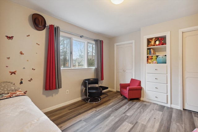 bedroom featuring wood-type flooring