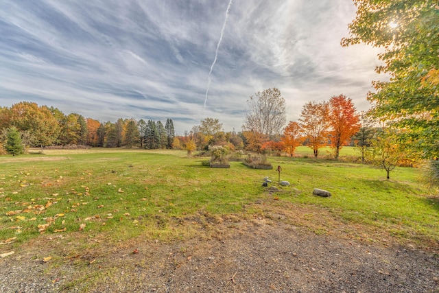 view of yard featuring a rural view