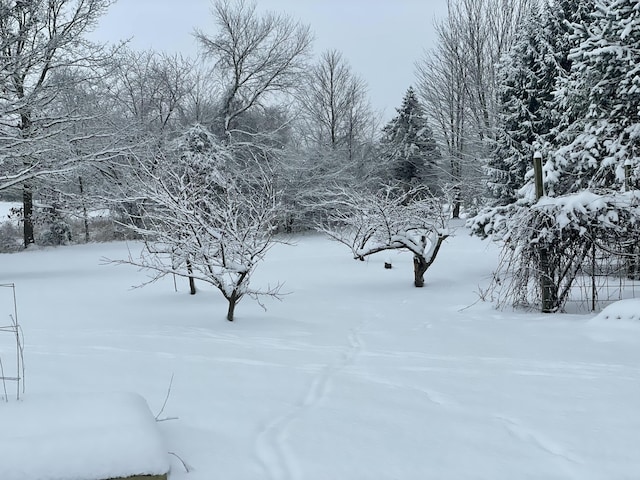 view of snowy yard