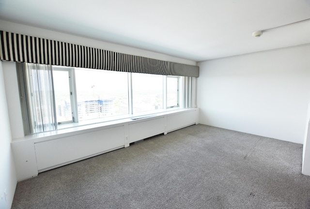 unfurnished room with carpet