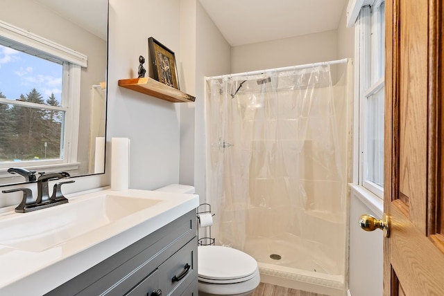 bathroom featuring a shower with curtain, hardwood / wood-style flooring, vanity, and toilet