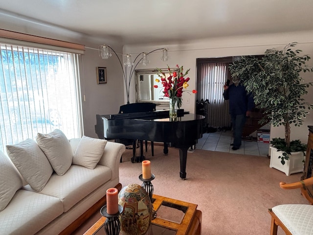 sitting room with carpet flooring