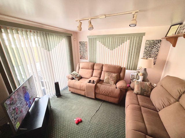 living room with carpet flooring and track lighting