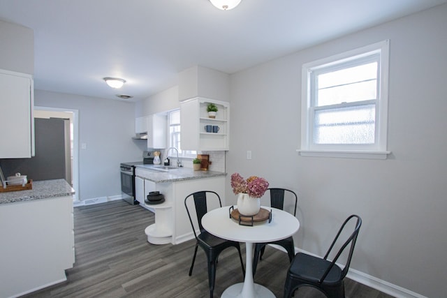 dining room with sink and dark wood-type flooring