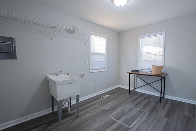 clothes washing area featuring dark hardwood / wood-style flooring