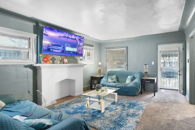 carpeted living room with a wealth of natural light