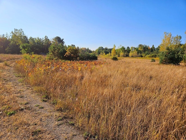 view of landscape featuring a rural view