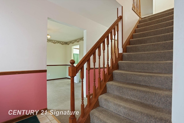 staircase featuring carpet flooring