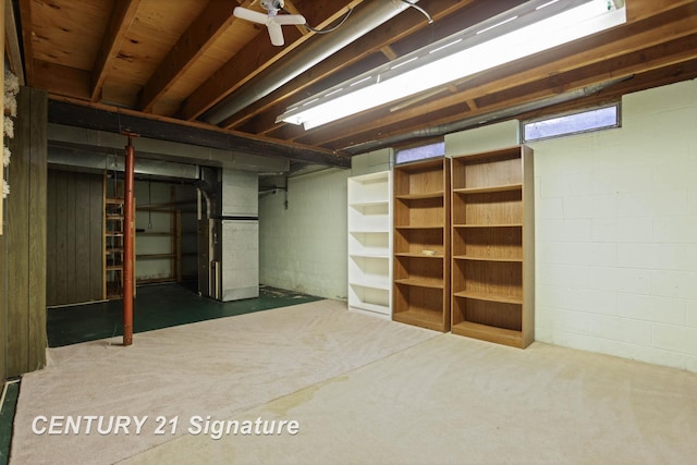 basement featuring heating unit