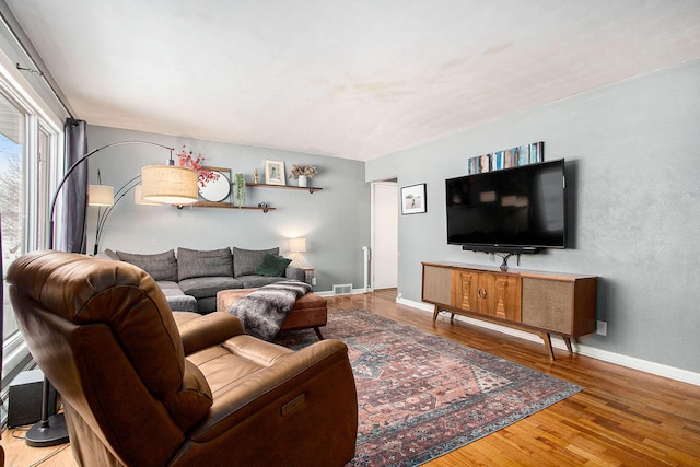 living room featuring hardwood / wood-style flooring