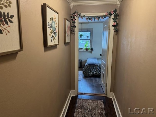 hall featuring ornamental molding and dark wood-type flooring