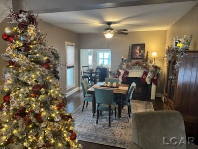 dining area with ceiling fan and wood-type flooring