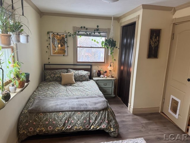 bedroom with crown molding and dark hardwood / wood-style flooring