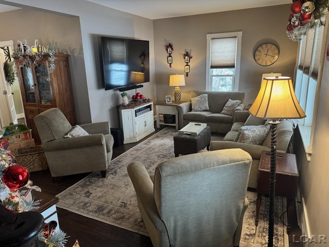 living room with dark hardwood / wood-style flooring