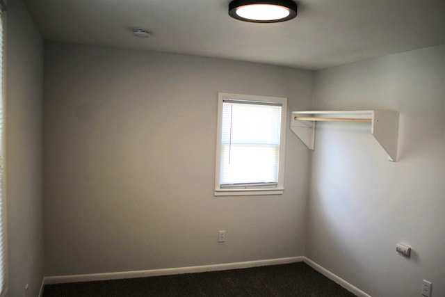 walk in closet with carpet floors