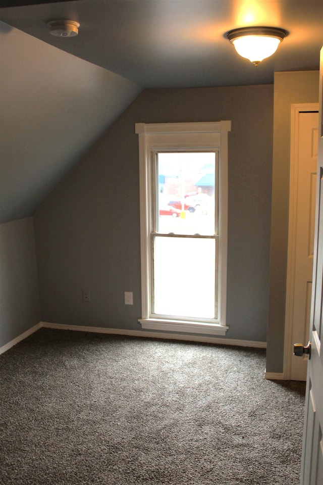 additional living space with carpet flooring and vaulted ceiling