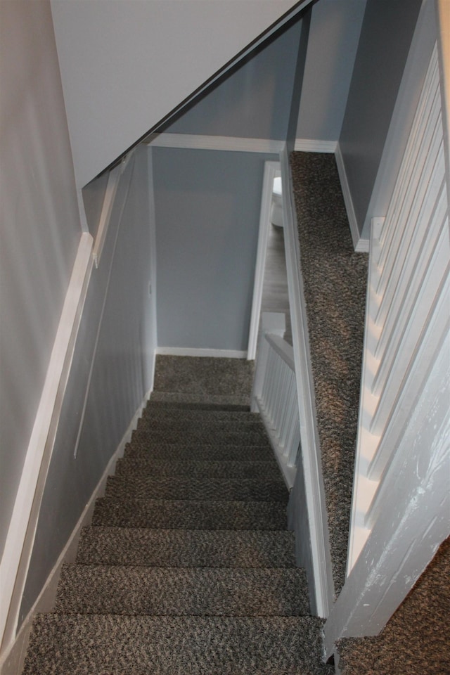 stairs featuring carpet