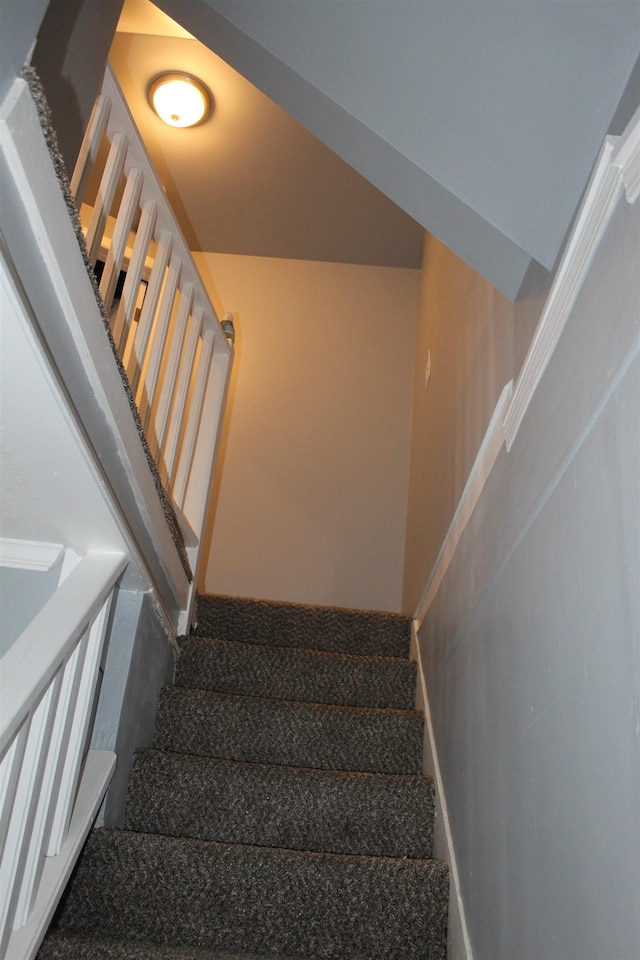 stairway with carpet flooring