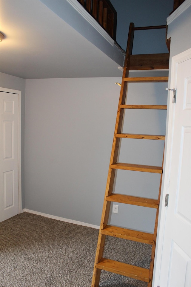 stairs featuring carpet floors