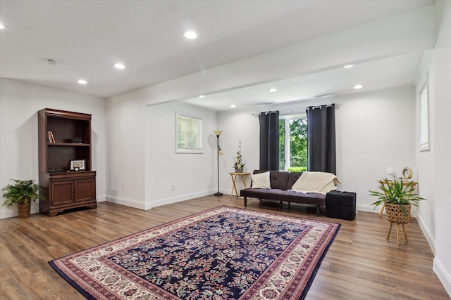 living room with wood-type flooring