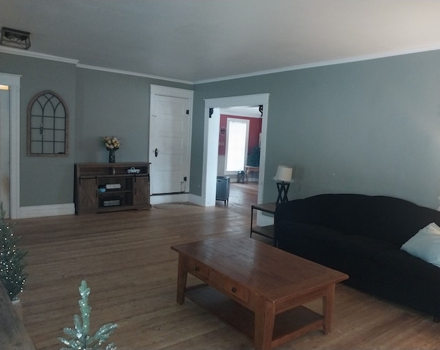 living room with hardwood / wood-style floors and ornamental molding