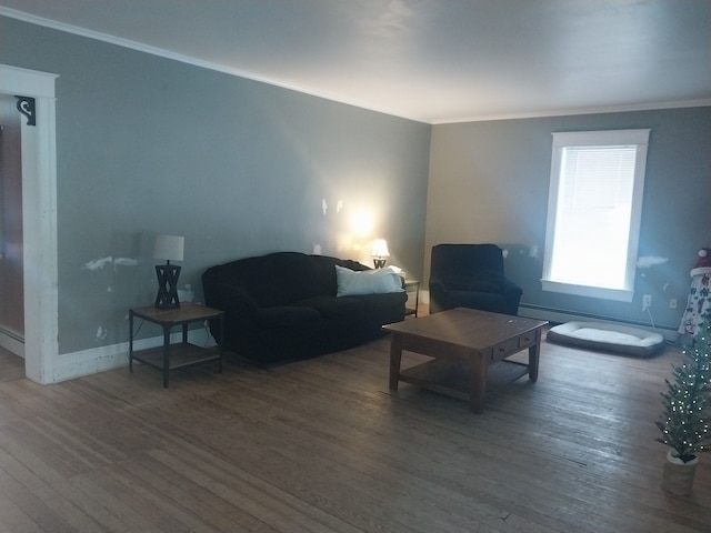 living room featuring crown molding and wood-type flooring