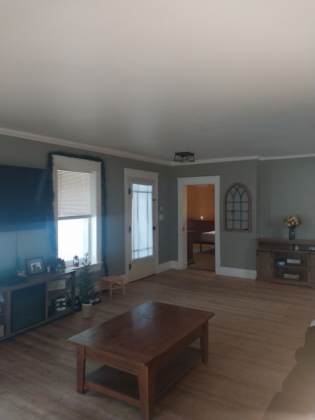 living room featuring hardwood / wood-style flooring and ornamental molding