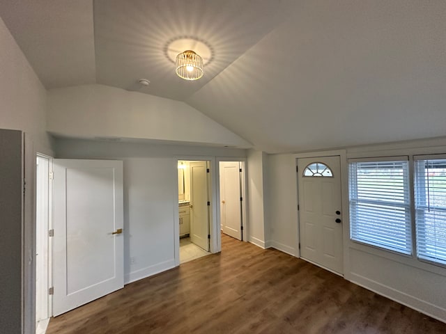 entryway featuring lofted ceiling and wood-type flooring