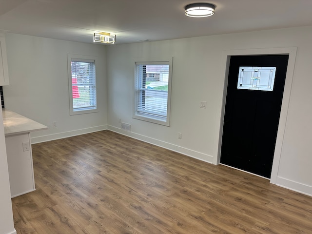 foyer entrance featuring plenty of natural light and dark hardwood / wood-style floors