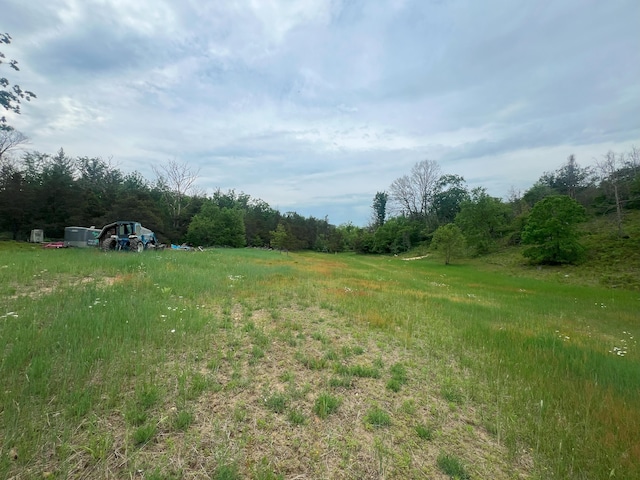 view of yard featuring a rural view