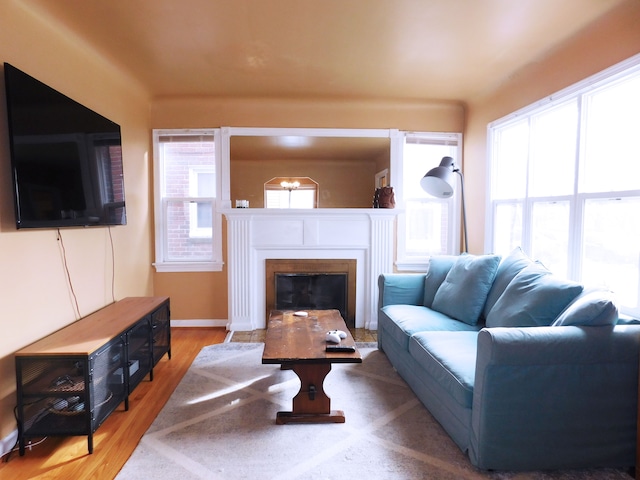 living room with hardwood / wood-style flooring