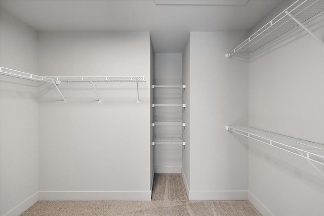 walk in closet featuring carpet flooring