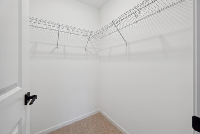 spacious closet with carpet flooring