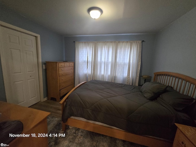 bedroom featuring dark hardwood / wood-style floors, lofted ceiling, and a closet