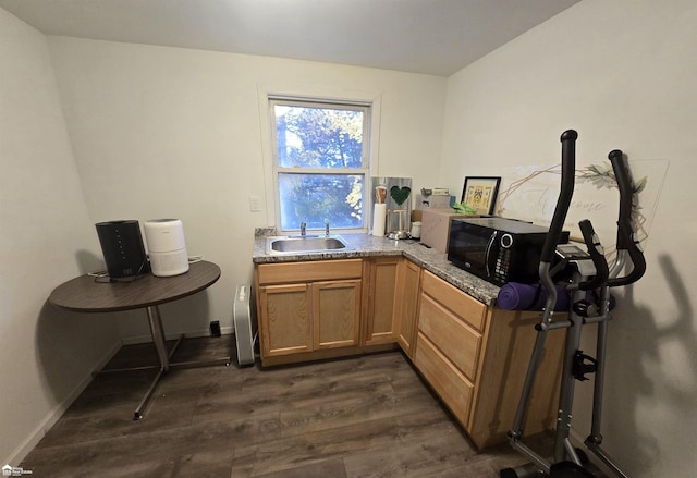 interior space featuring dark hardwood / wood-style flooring and sink